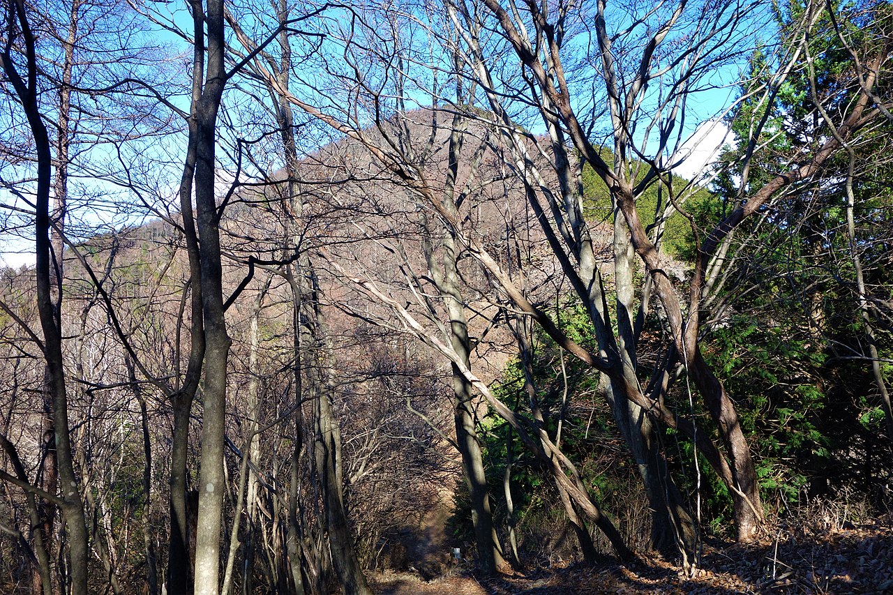 Mount Buko