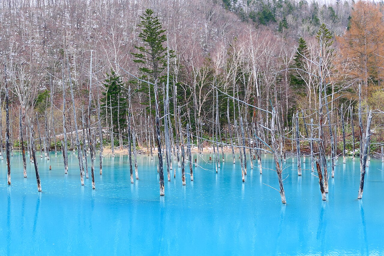 Shirogane Blue Pond (Aoi Ike)