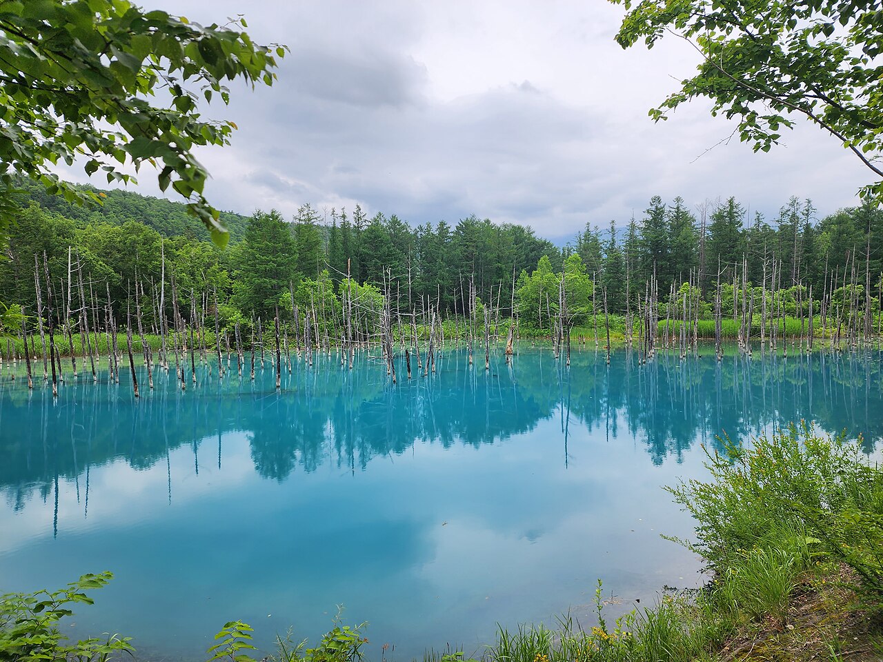 Shirogane Blue Pond