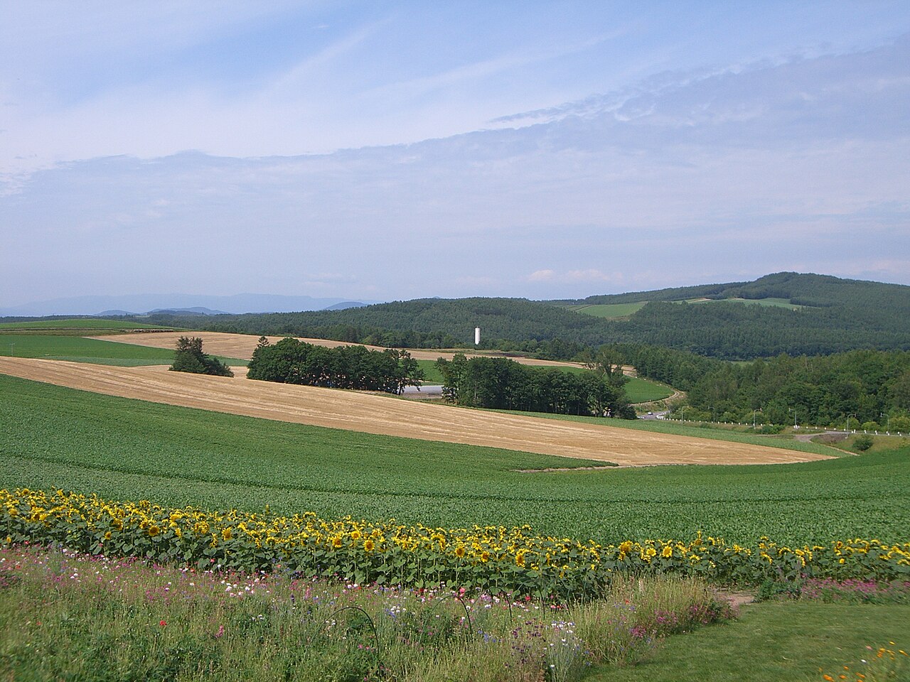 Biei patchwork hills