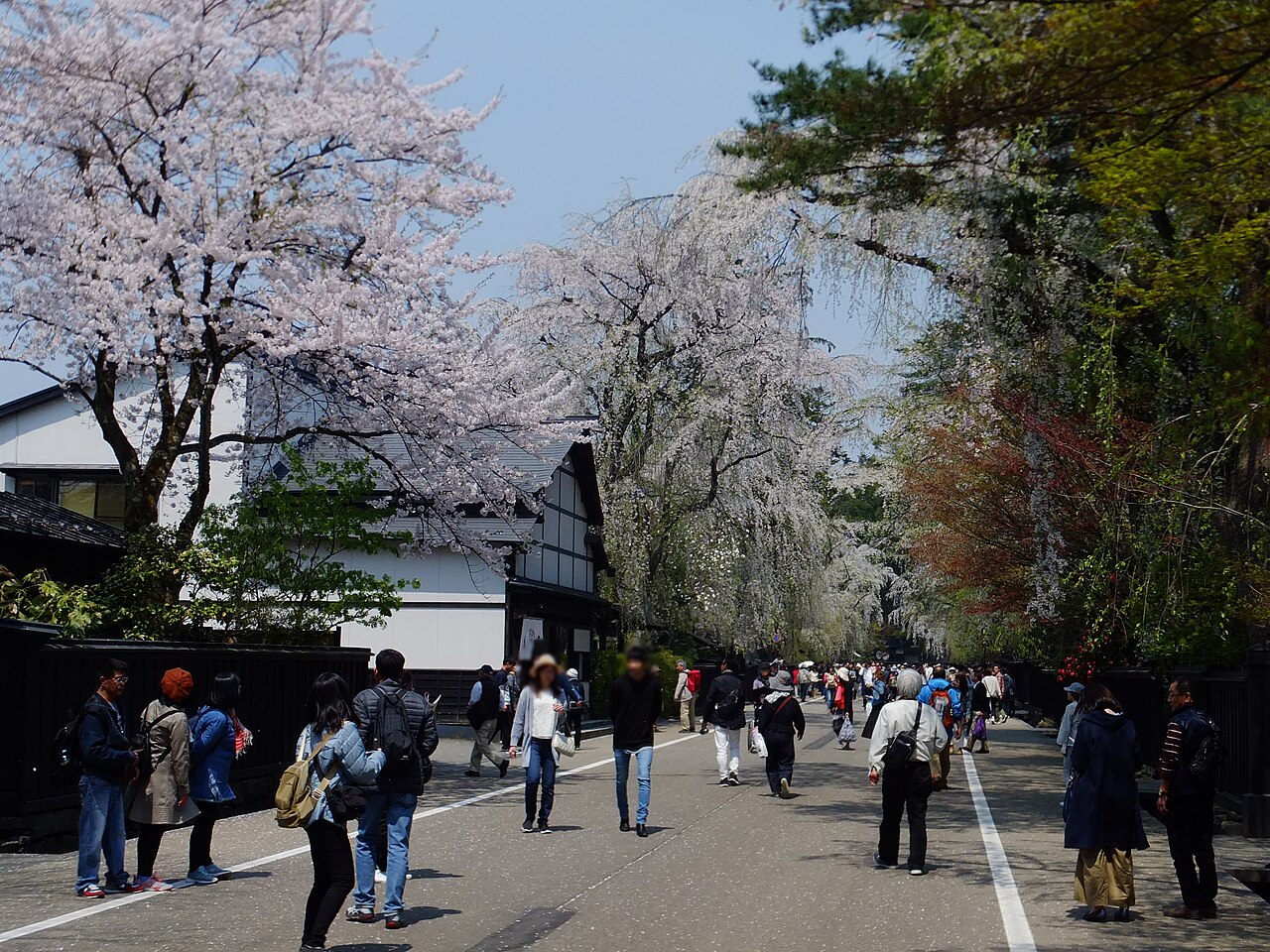Kakunodate samurai district street