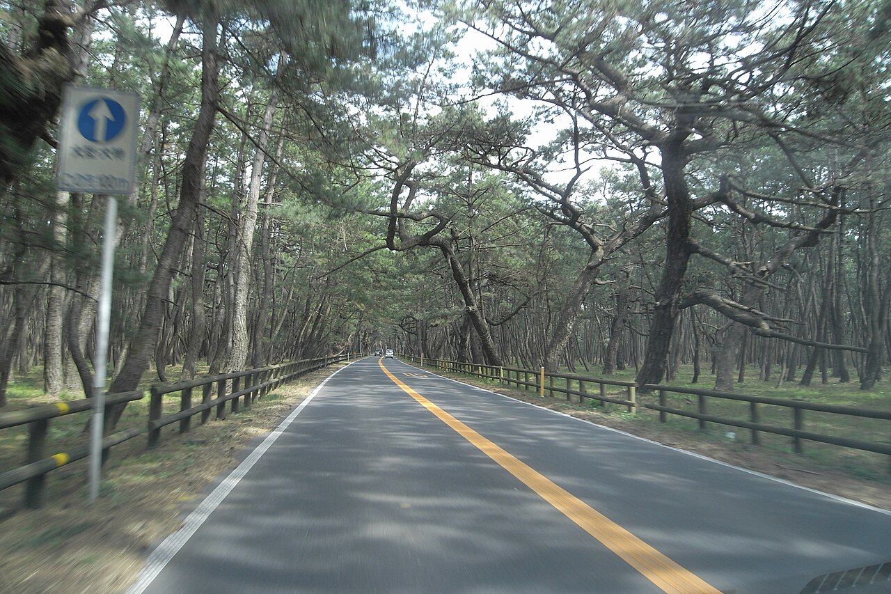 Niji no Matsubara Pine Grove