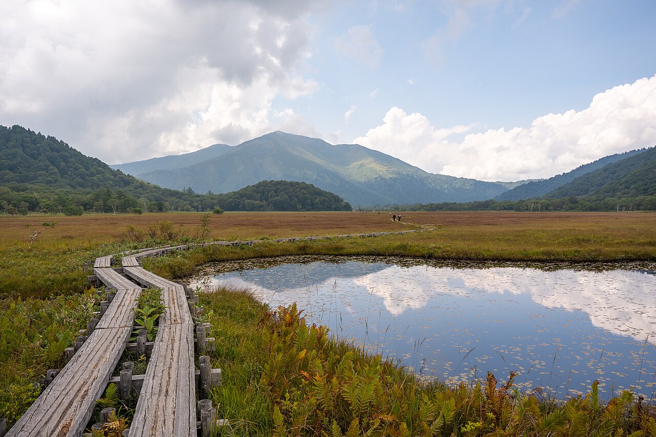 Ozegahara wetland boardwalk