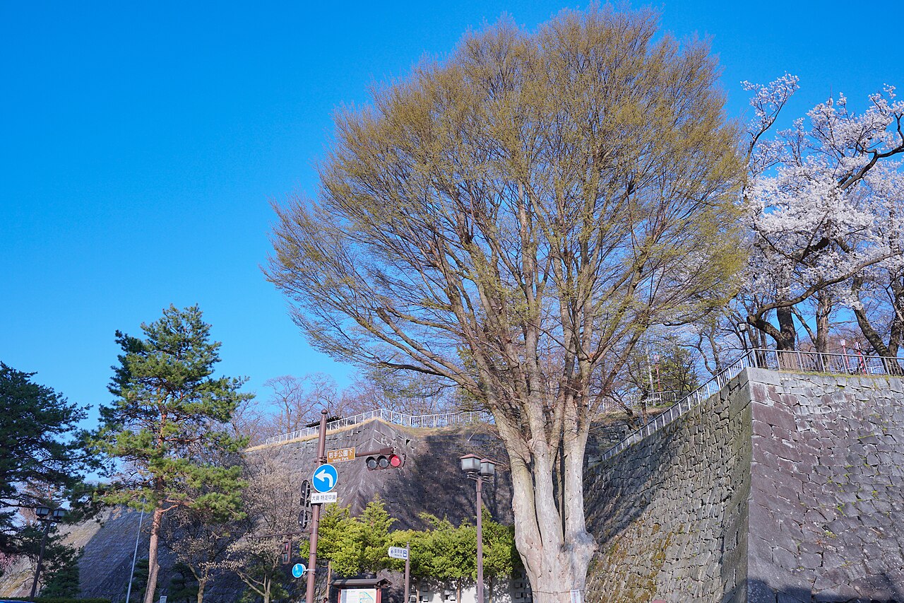 Morioka Castle Ruins stone walls