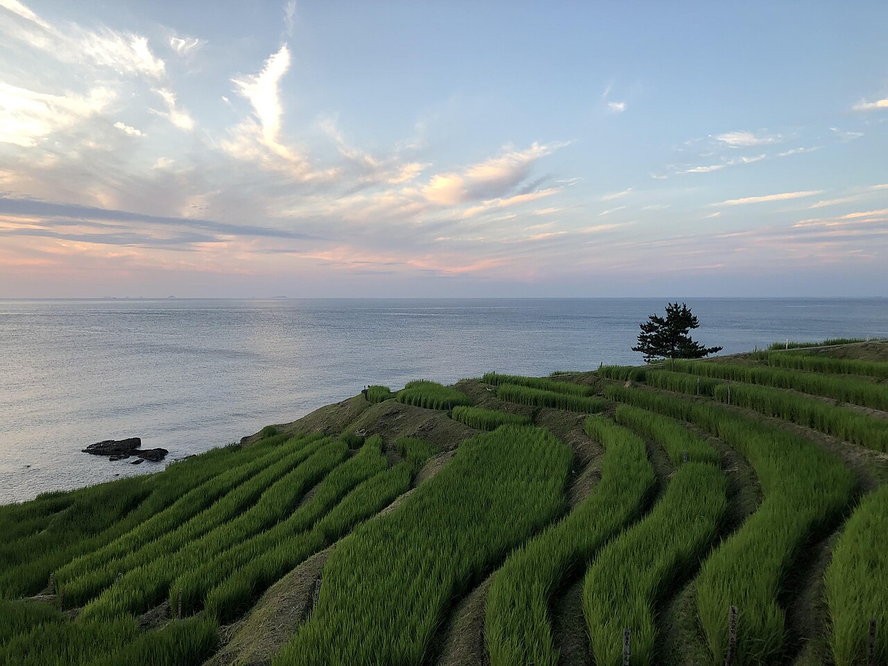 Shiroyone rice terraces in Wajima, Noto