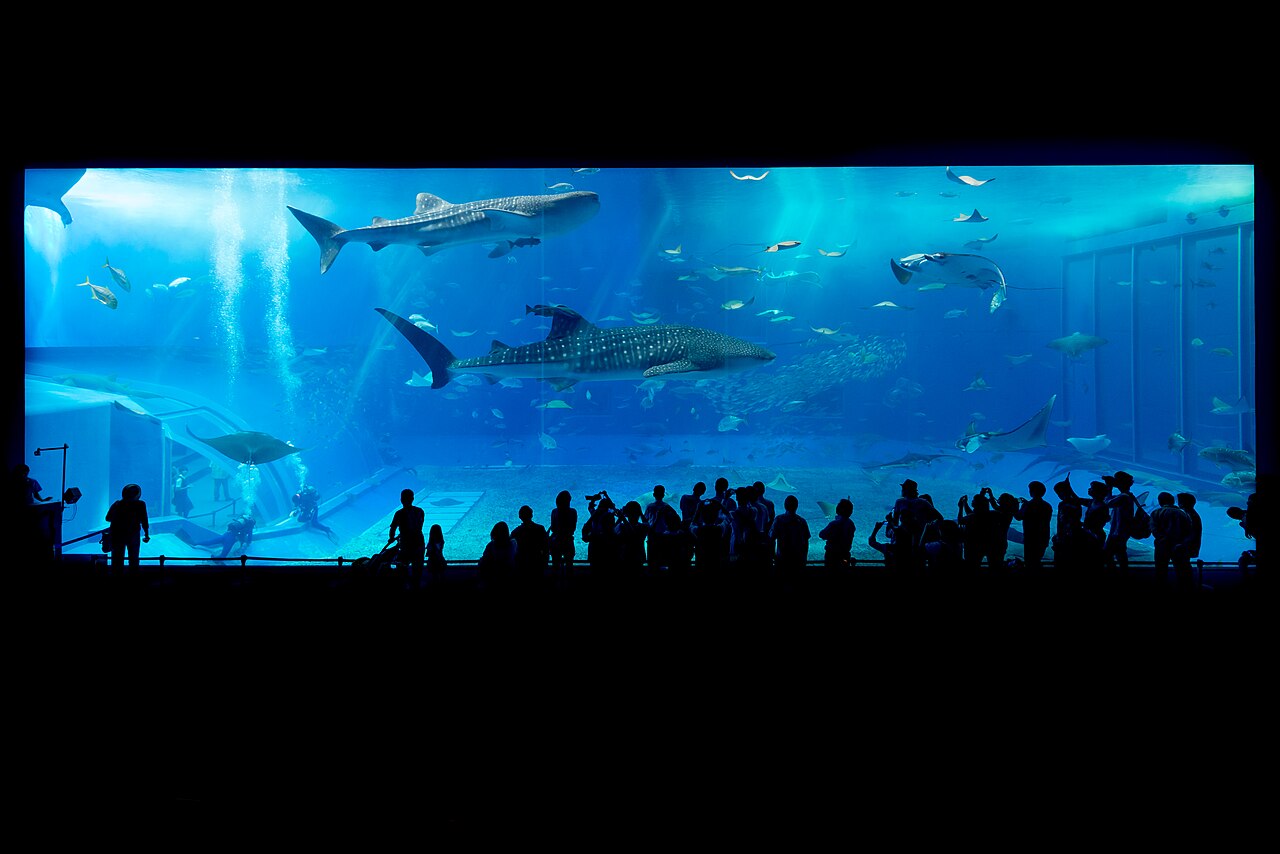 Okinawa Churaumi Aquarium