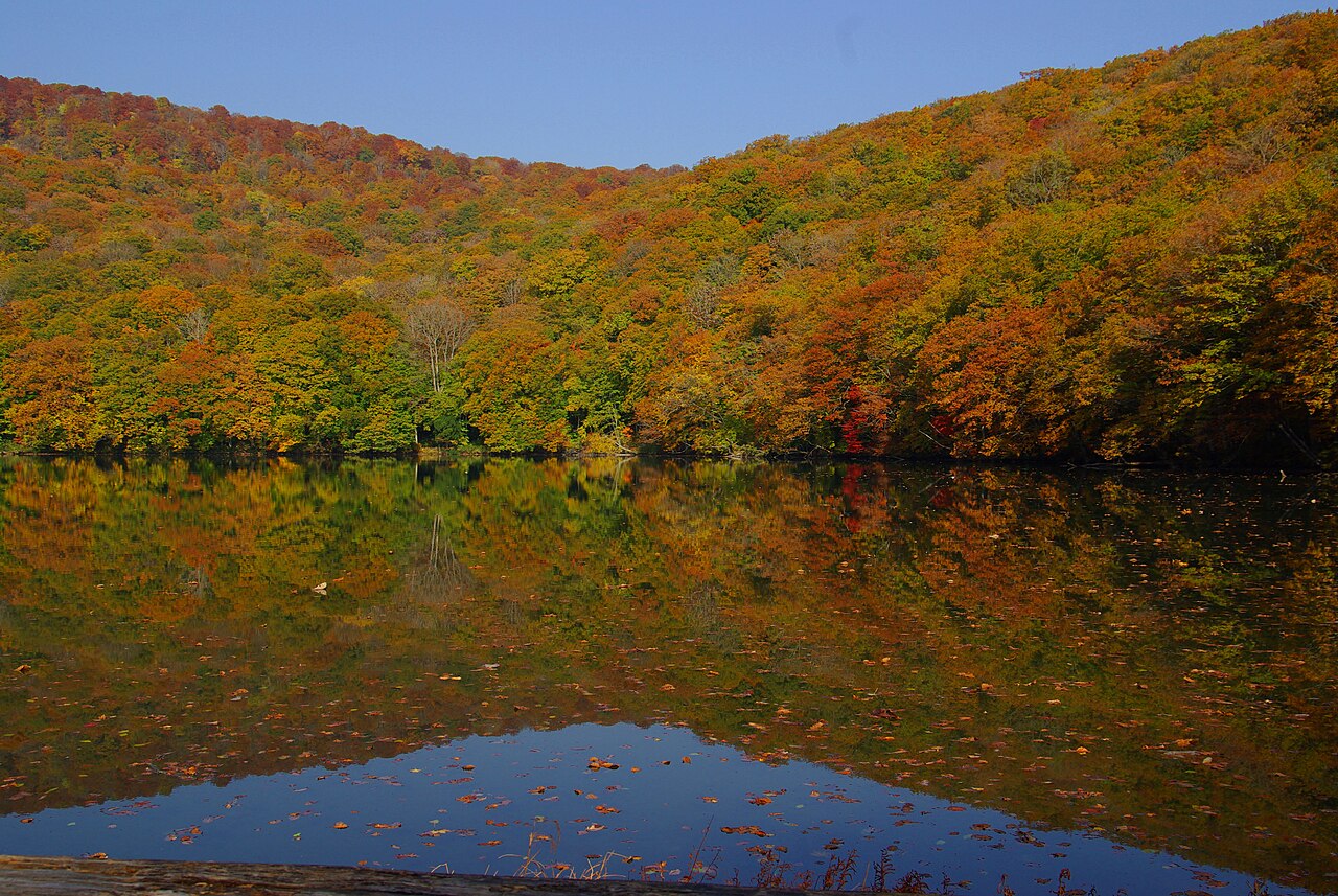 Tsuta Numa (pond with autumn reflection views)