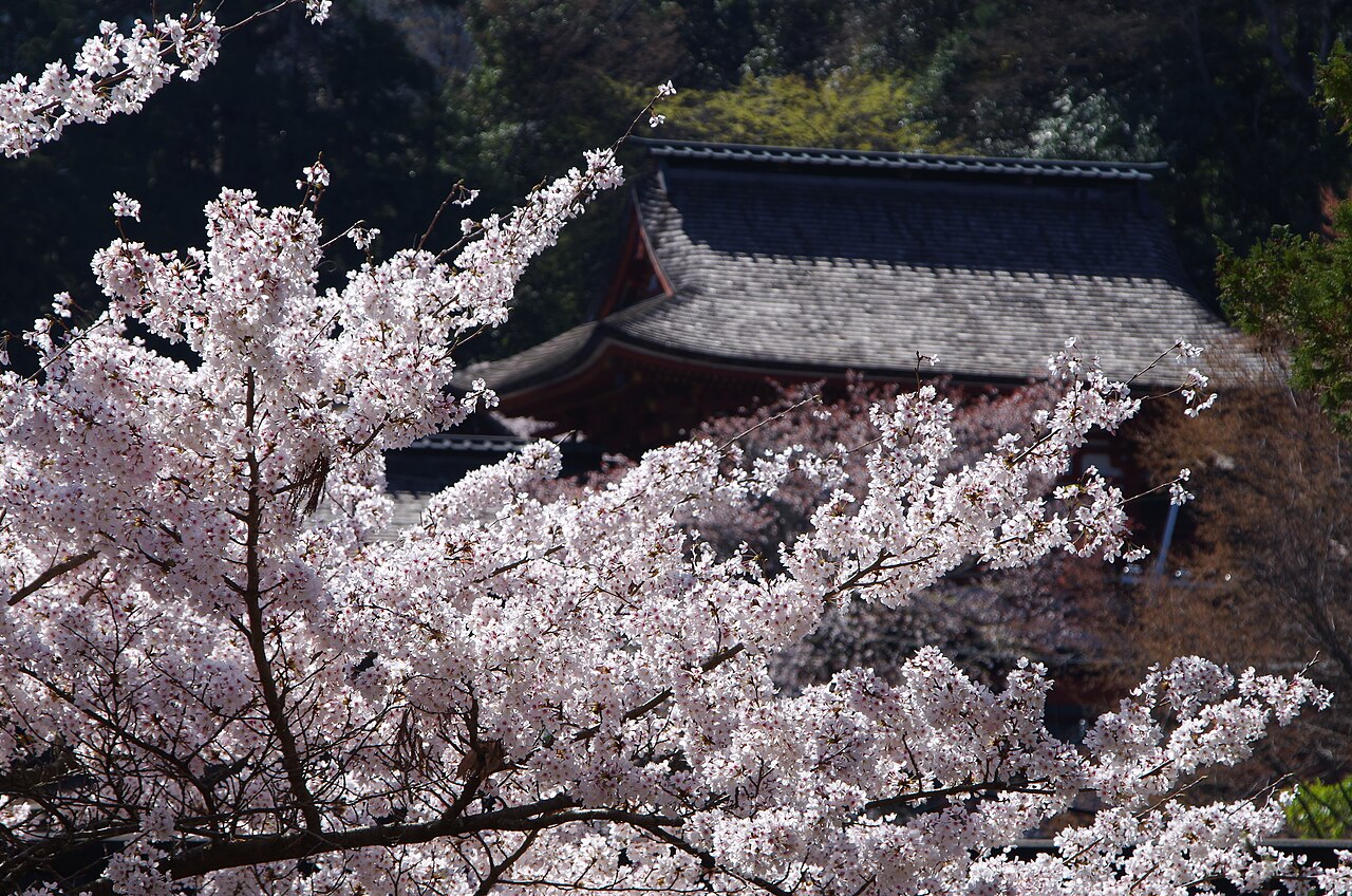 Yoshino Mizoji Shrine Gate