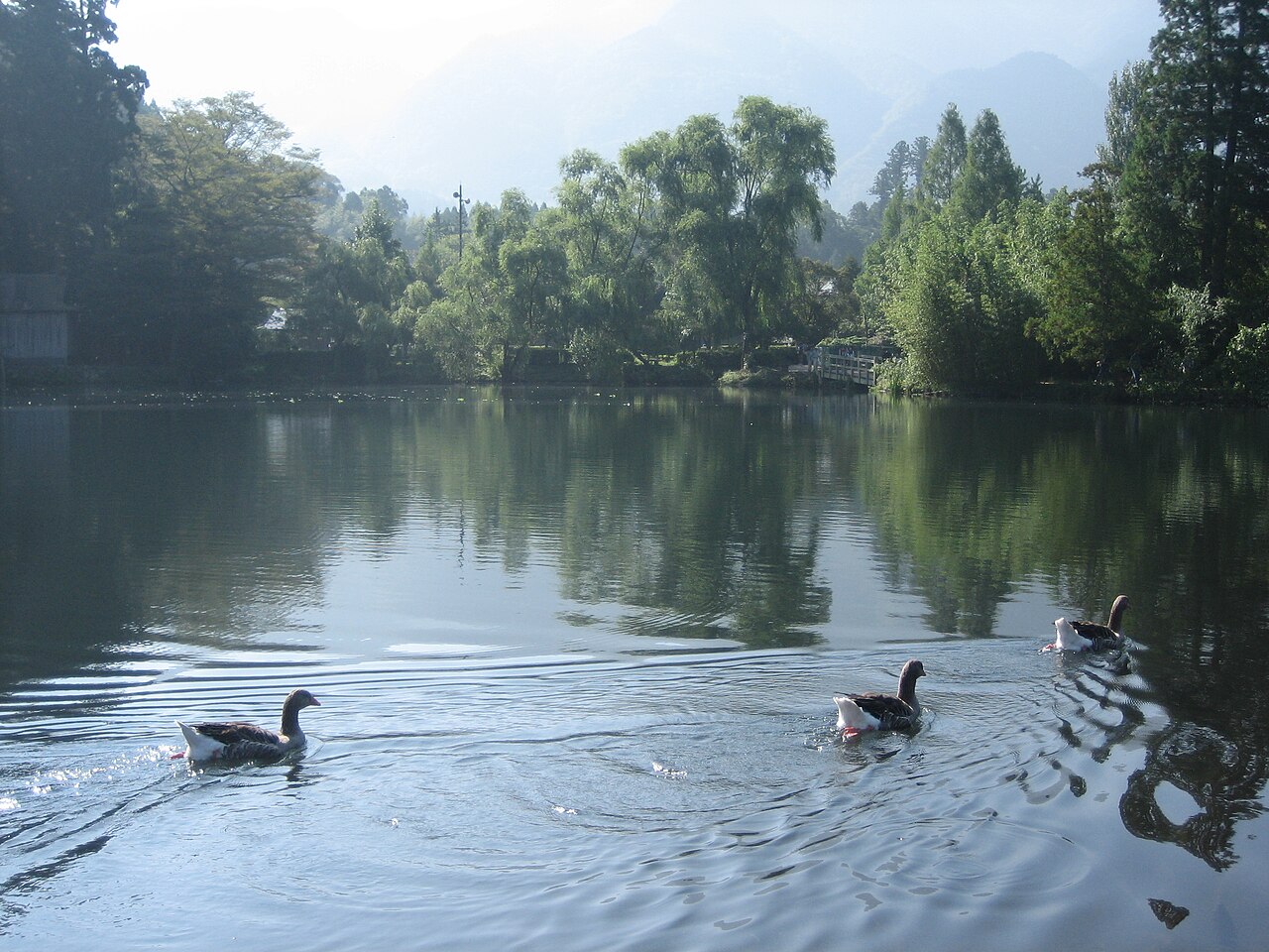 Lake Kinrin in Yufuin