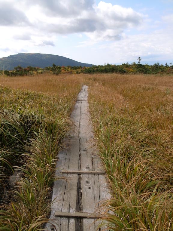 Hachimantai Tamoyachi Wetland