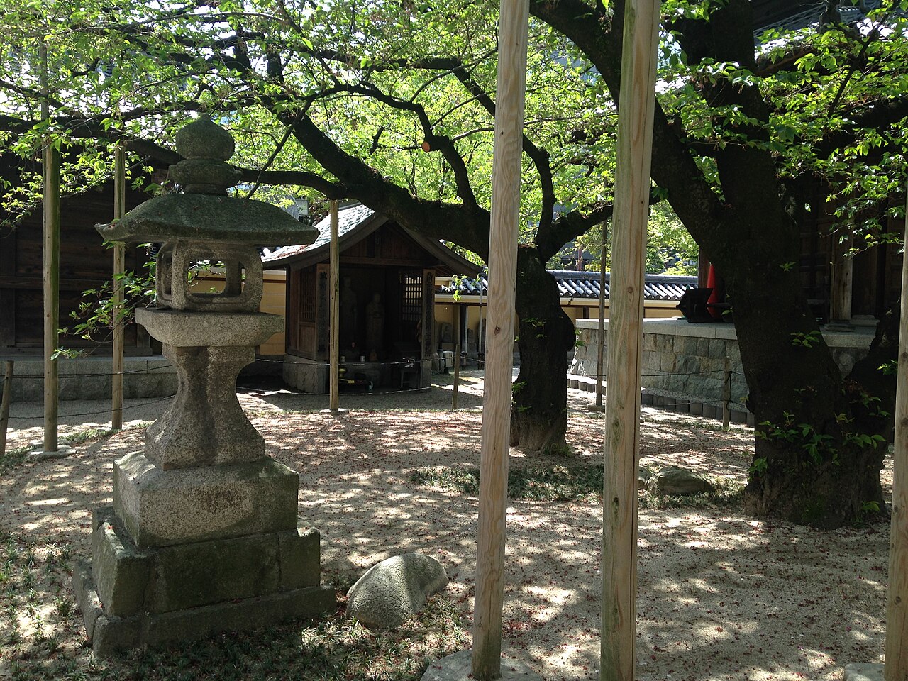 Tochoji Temple and Fukuoka Daibutsu