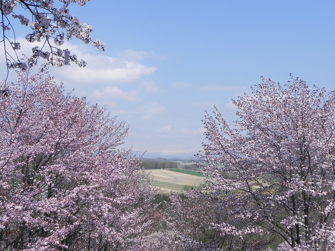 Miyama Pass / Miyama-toge