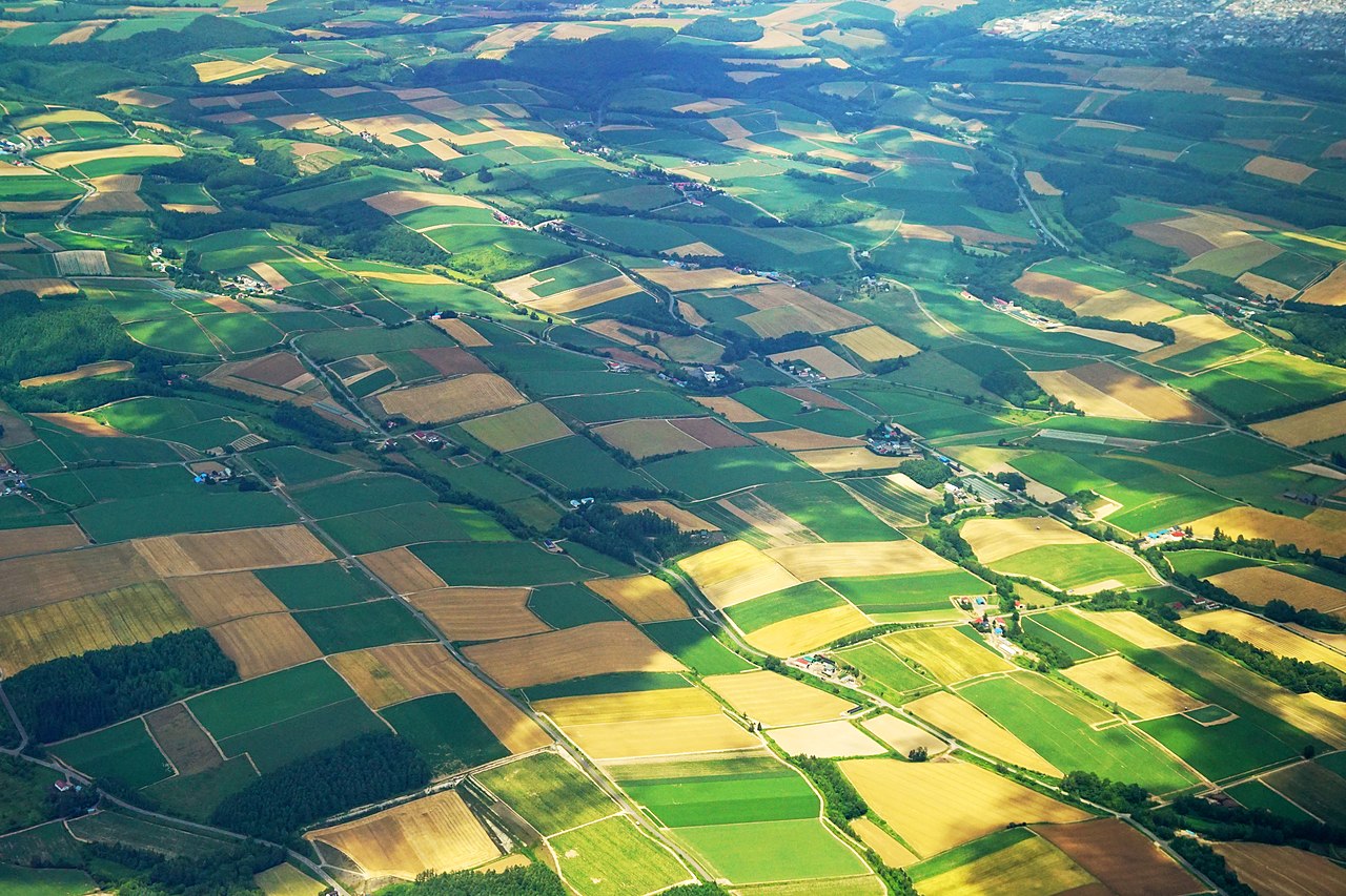 Patchwork Road agricultural fields