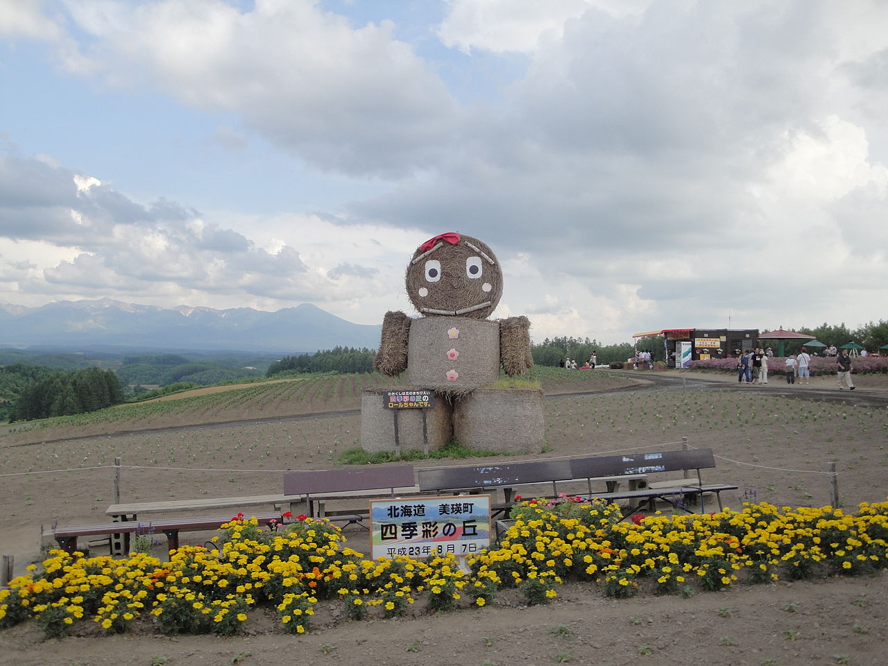 Shikisai no Oka flower hill