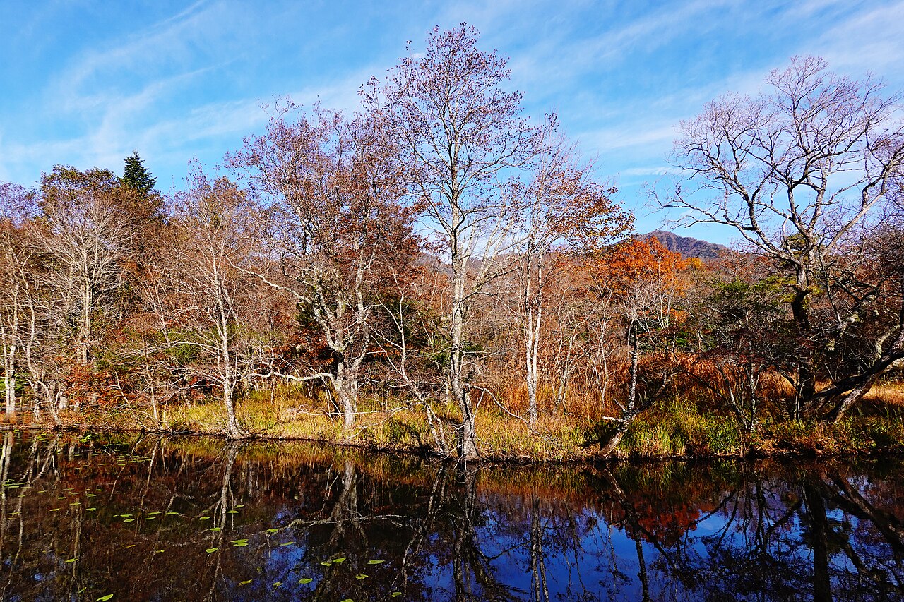 Hakone Wetland Garden