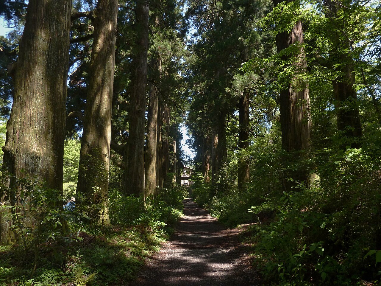 Old Tokaido Cedar Avenue