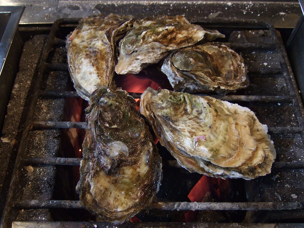 Hiroshima Oysters