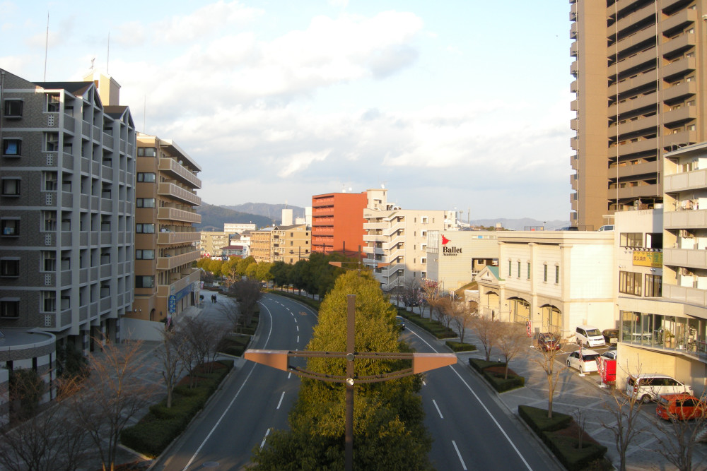 Saijo Sake Brewery Street