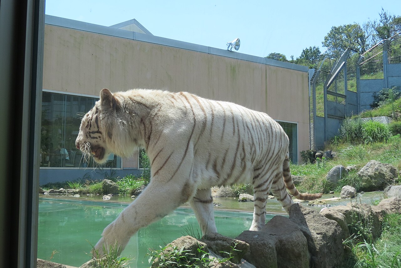 Izu Animal Kingdom