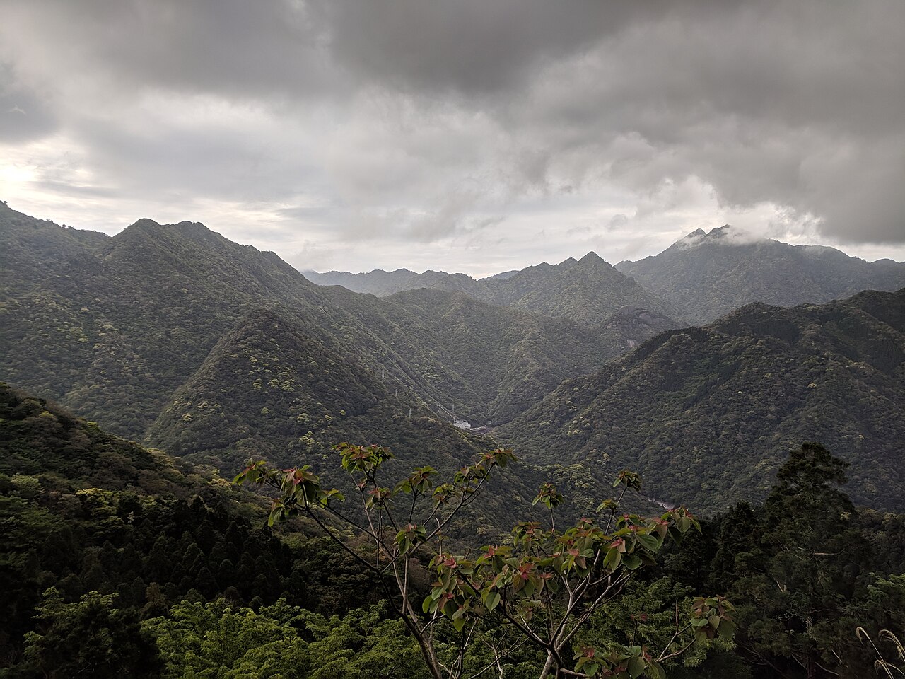 Yakushima forested mountains