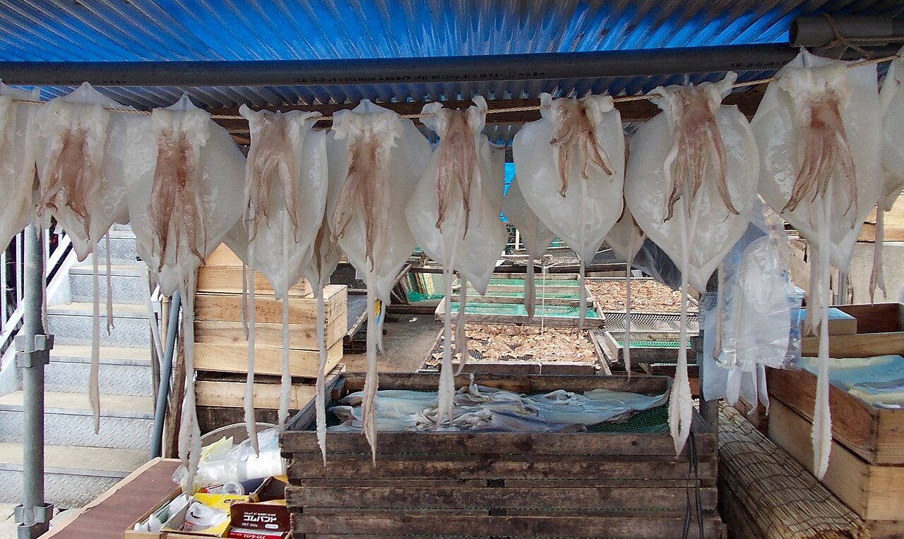 Yobuko Squid