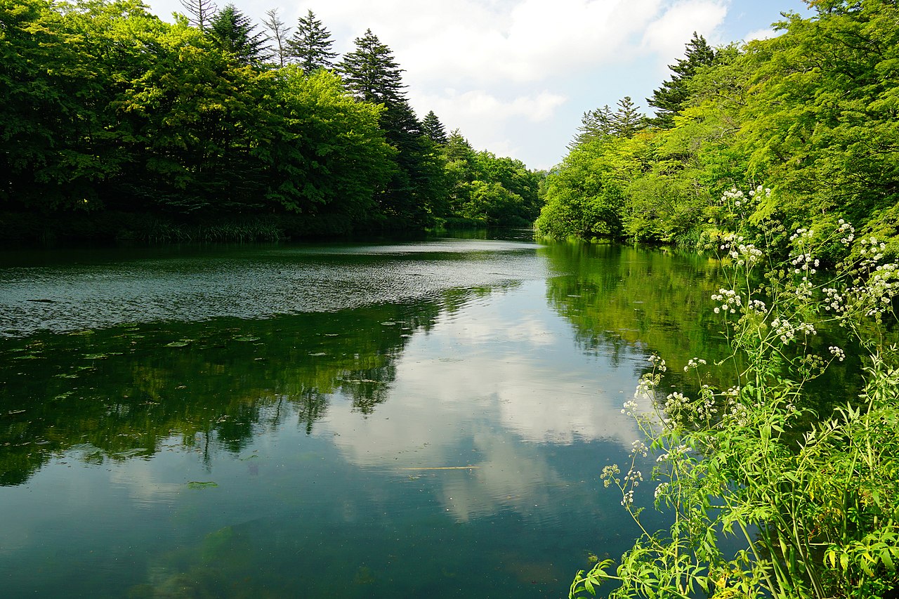 Kumoba Pond