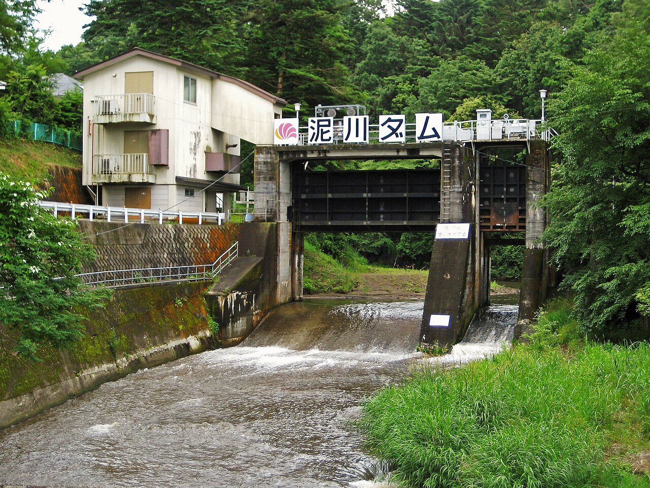 Musée of Mori - Picture Book Forest Museum