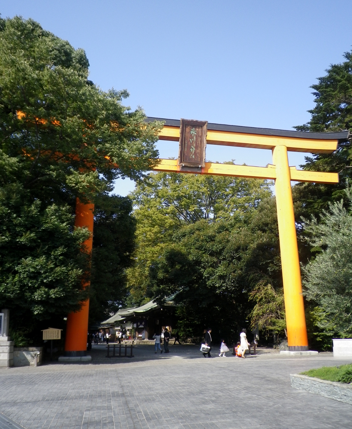 Nakain Temple (Weeping Cherry Blossoms)