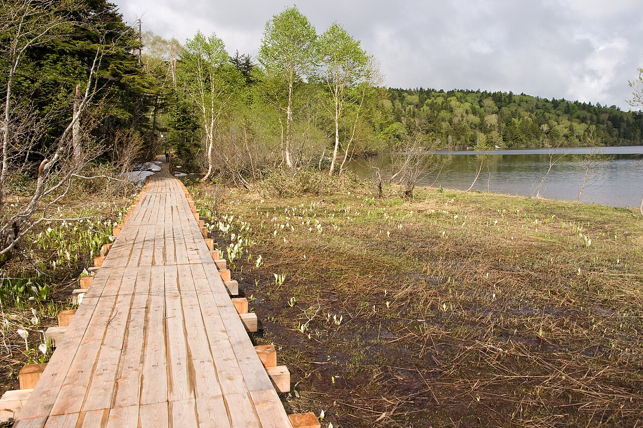 Ogenuma marsh landscape