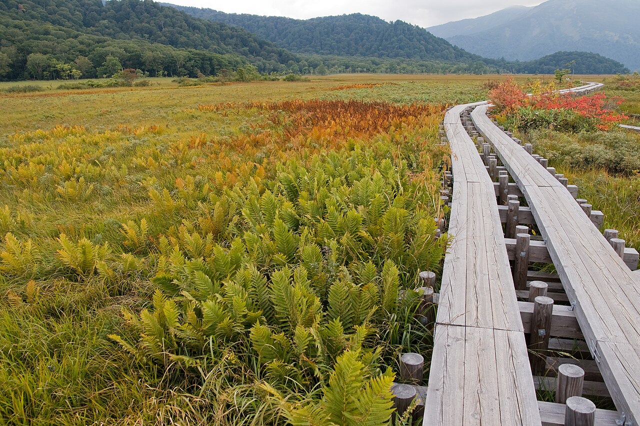 Ozegahara wetland boardwalk