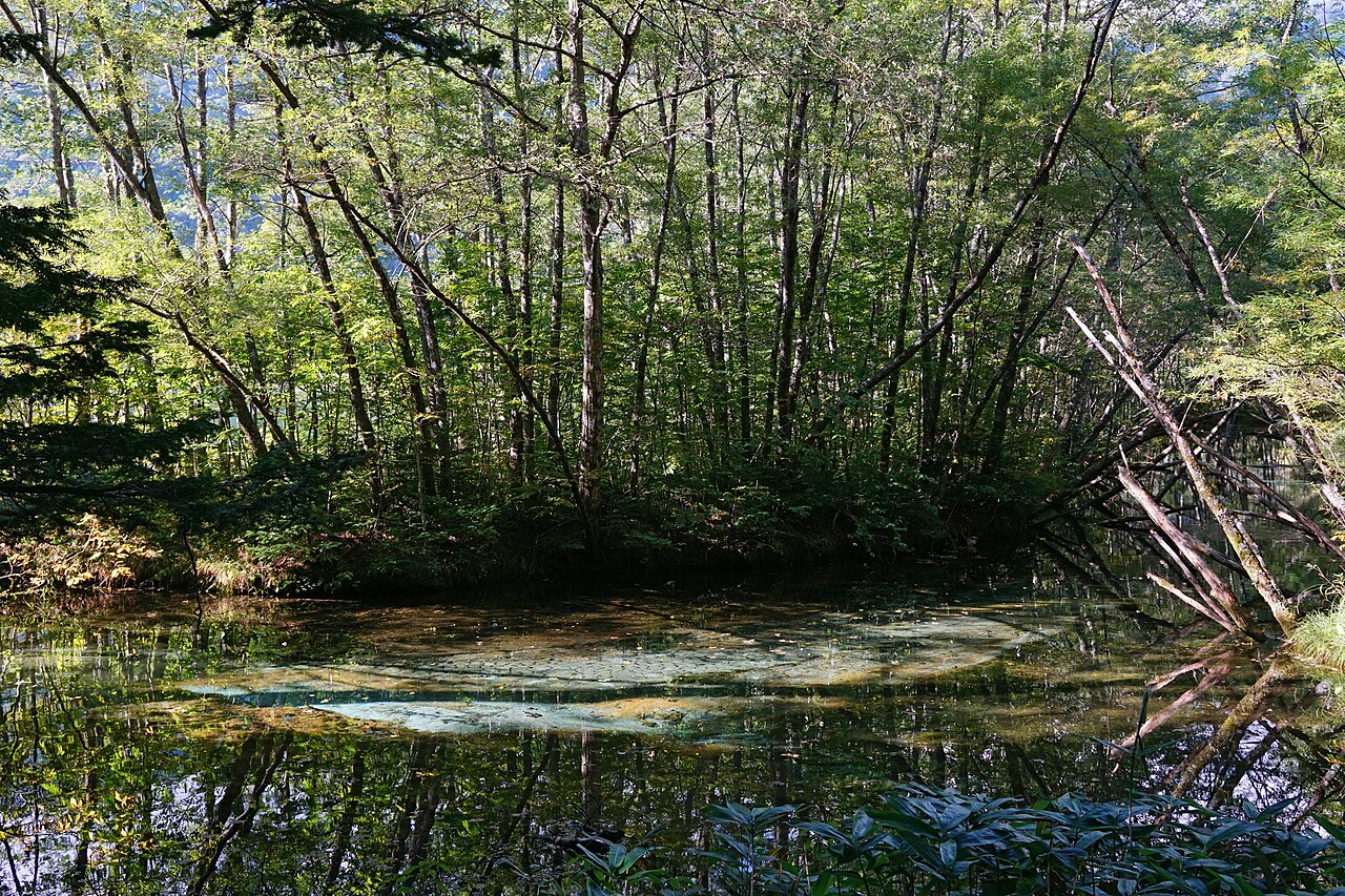 Taisho Pond