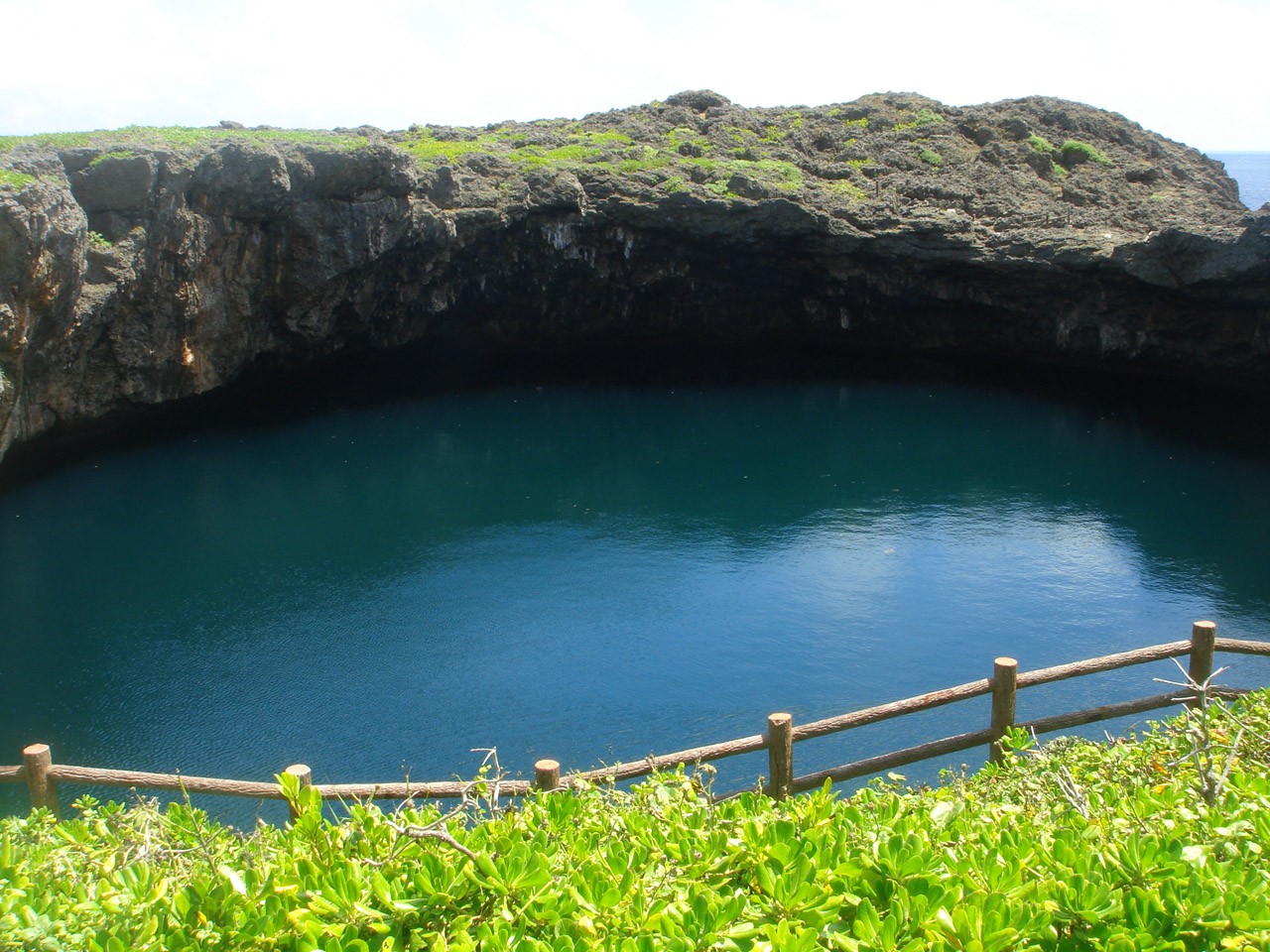 Tooriike