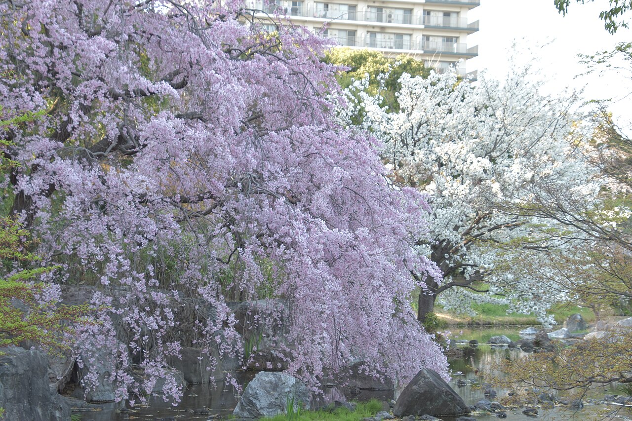 Shirotori Garden