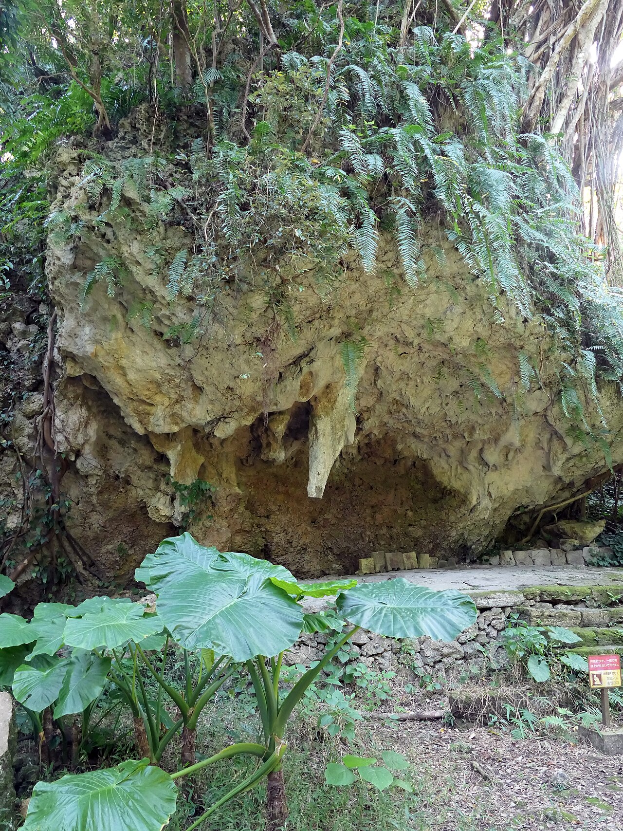 Seifa Utaki