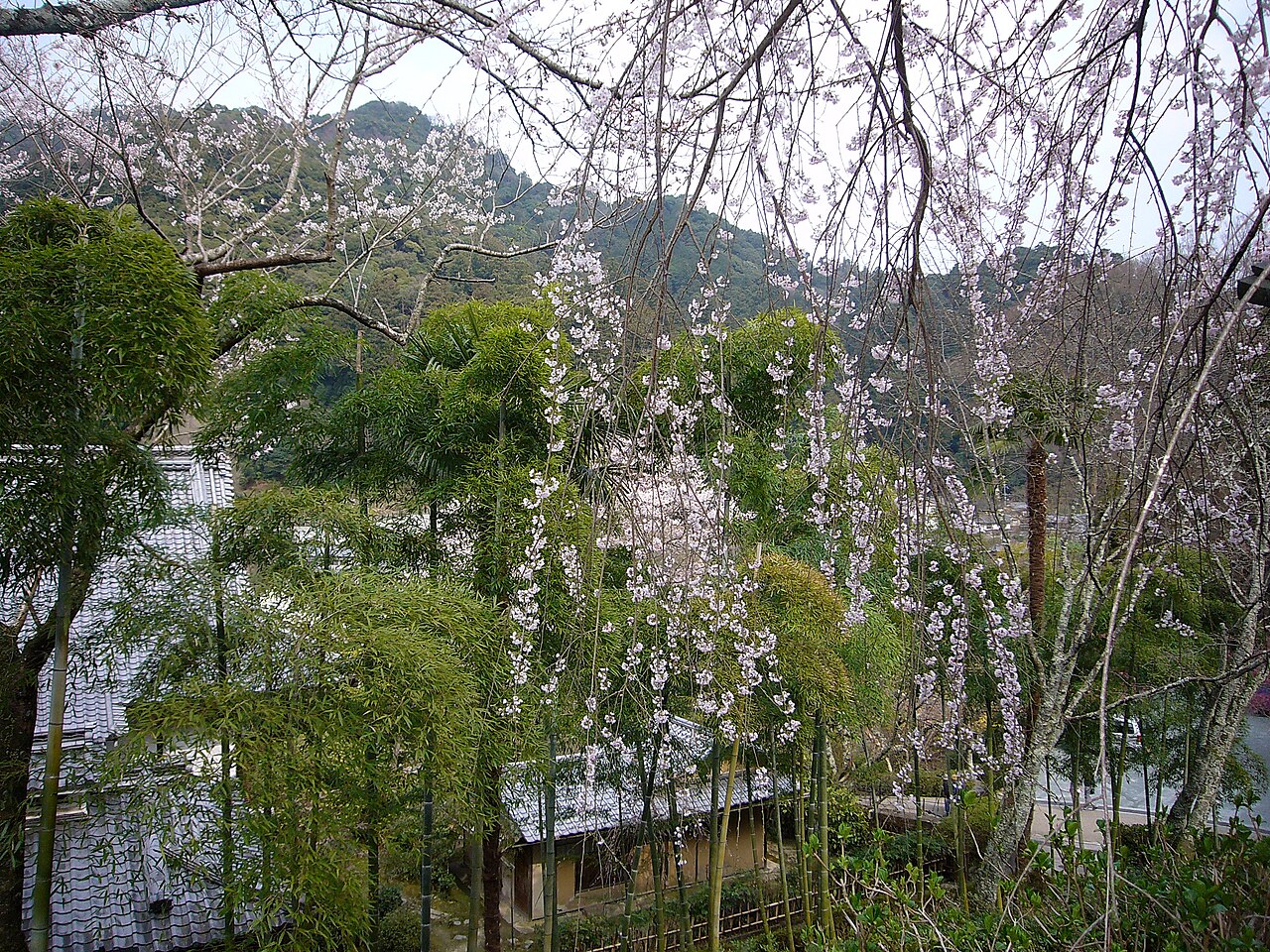 Hase-dera