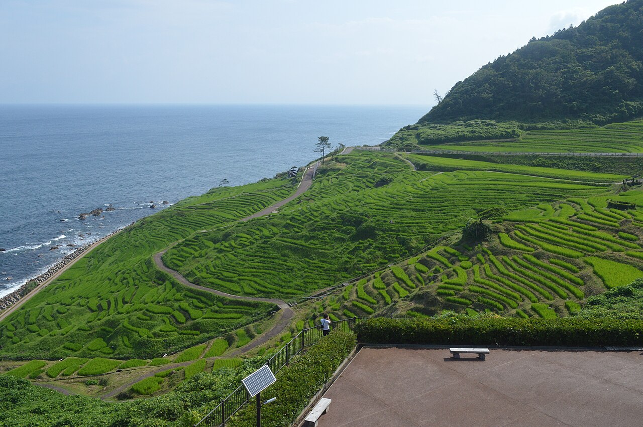 Shirakome Senmaida