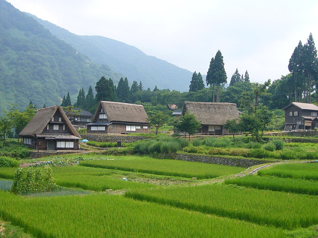 Gokayama Aikura