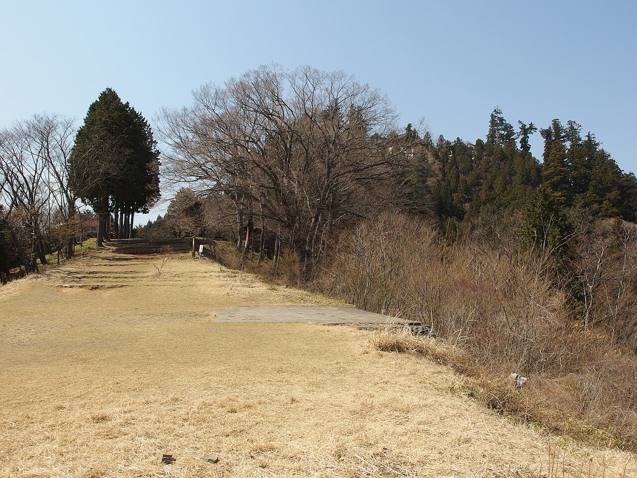 Mount Mitake