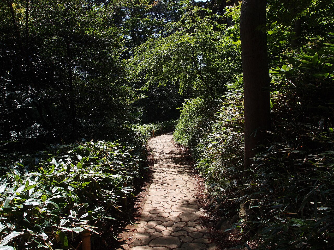 Rikugien