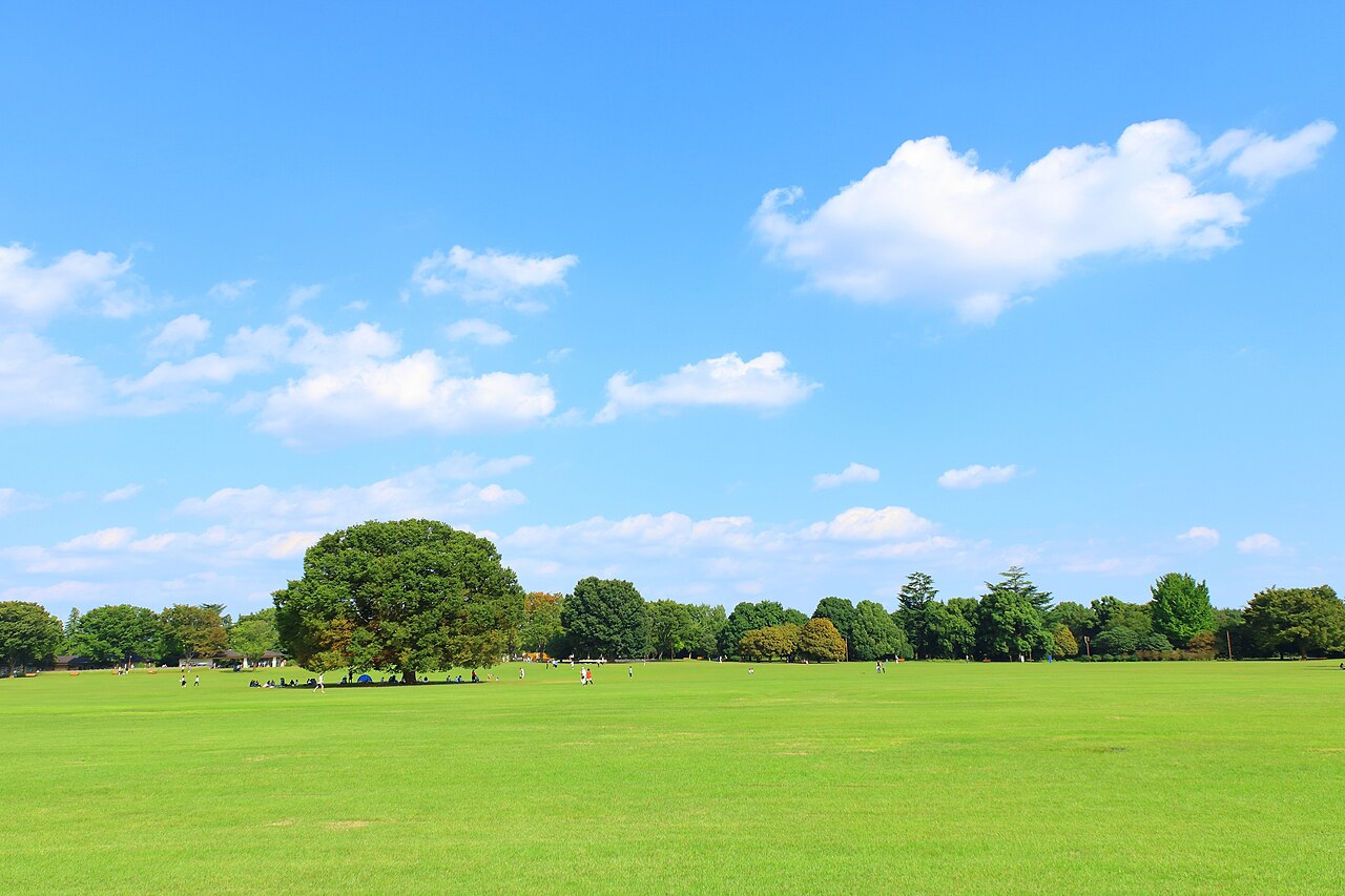 Showa Kinen Park