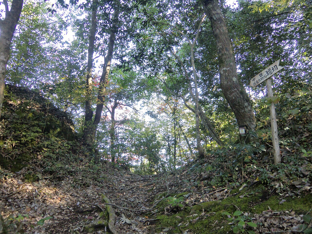Tsuwano Castle Ruins