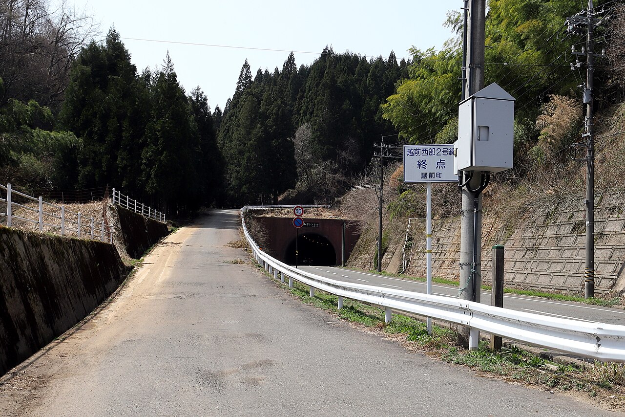 Seibu-rindo Road