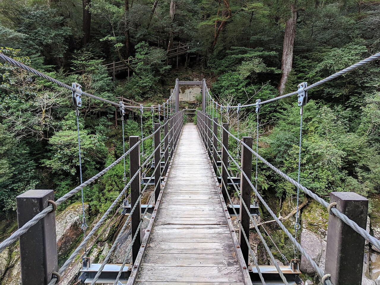 Yakusugi Land