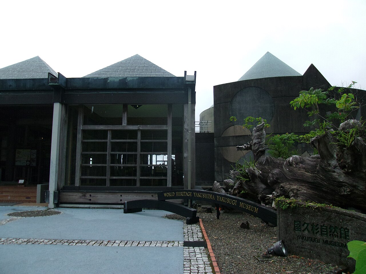 Yakusugi Nature Museum
