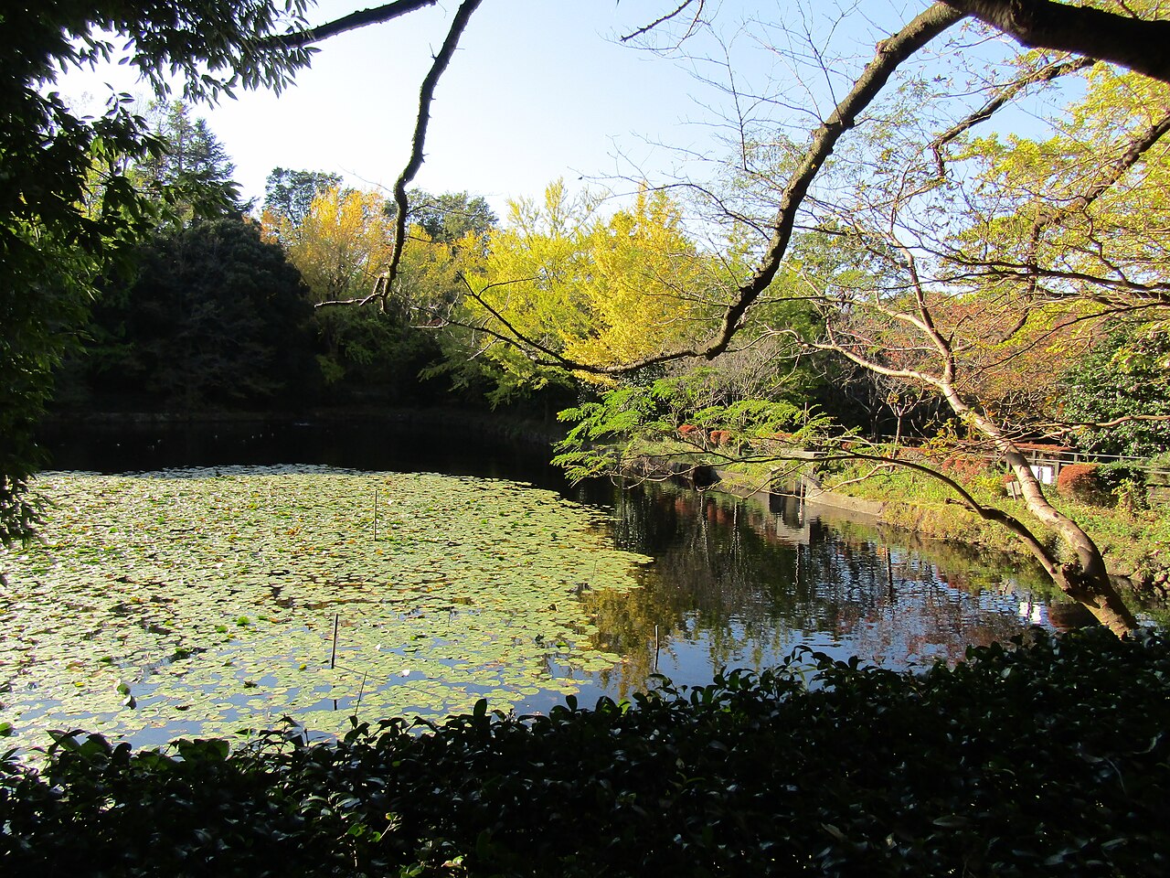 Mitsuike Park